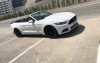 Rent FORD mustang 2017 